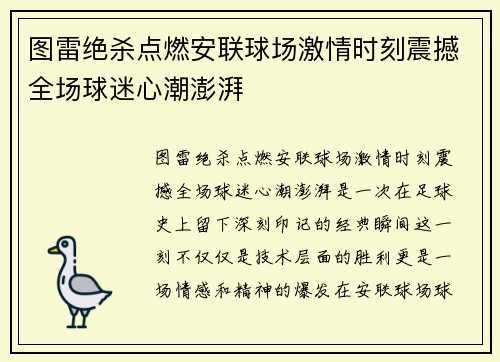 图雷绝杀点燃安联球场激情时刻震撼全场球迷心潮澎湃